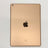 iPad 10.2 7th Gen Gold 128GB Wifi A Grade 96% Battery T8494