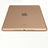 iPad 9.7 6th Gen 128GB Wifi Rose Gold T8551